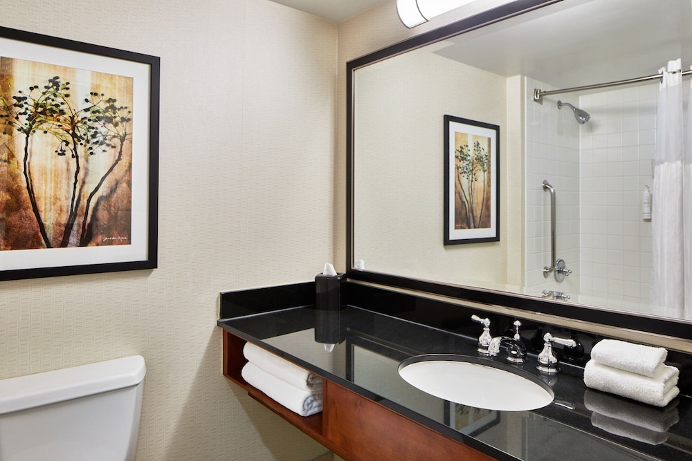 Detroit Metro Airport Marriott - photo 30