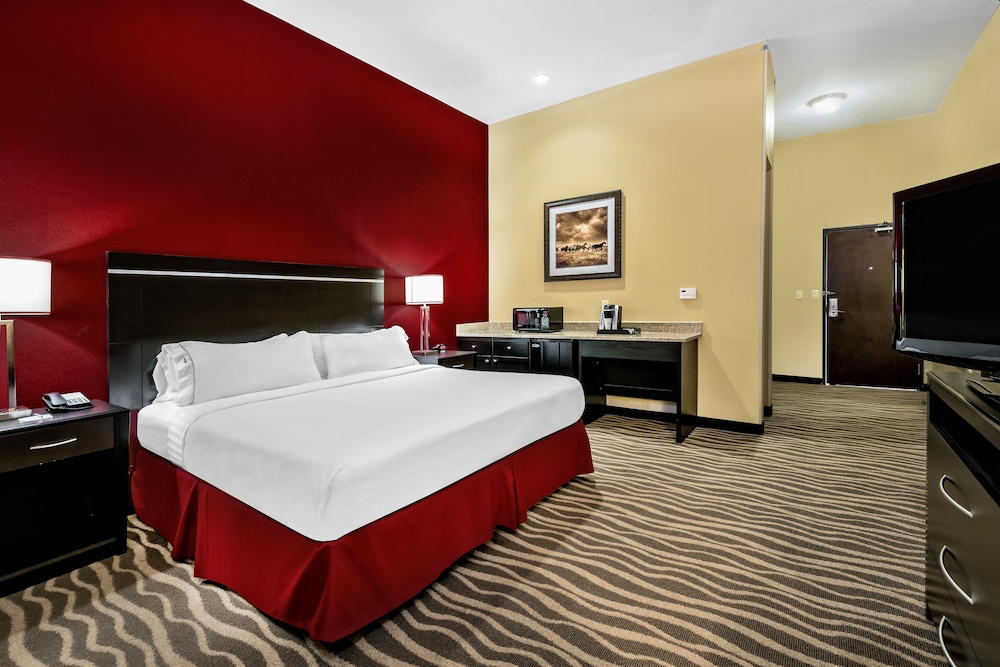Holiday Inn Express & Suites Cotulla by IHG - photo 6