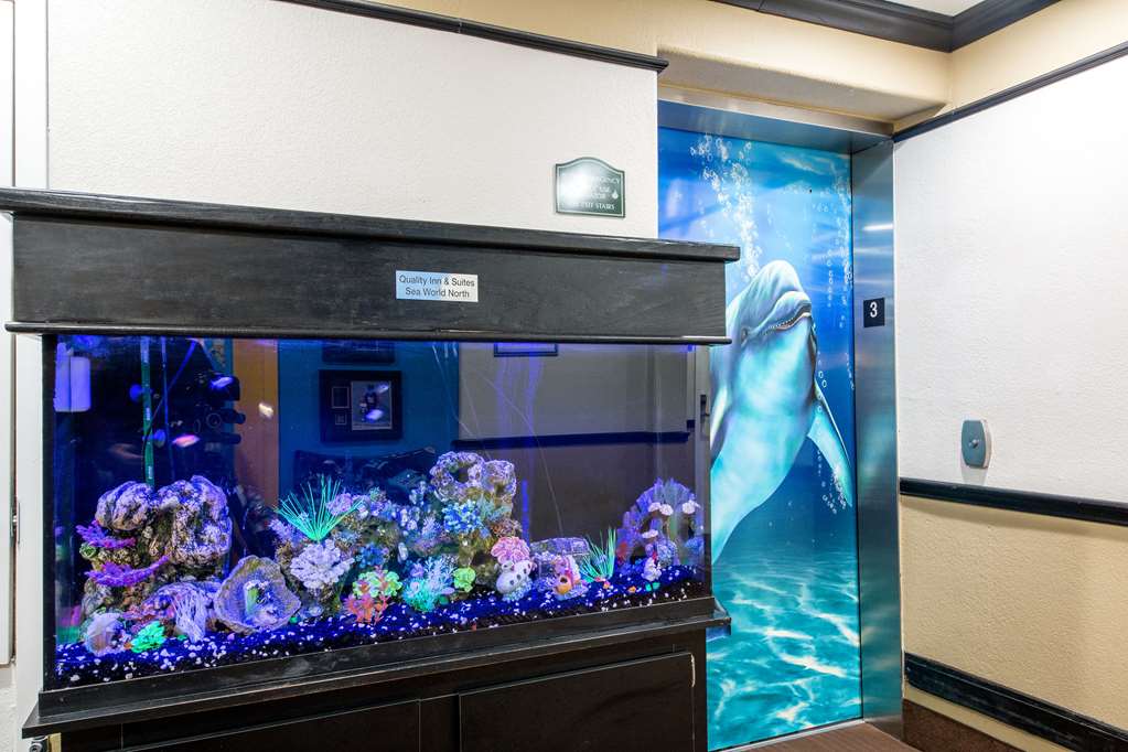 Quality Inn & Suites SeaWorld North - photo 47