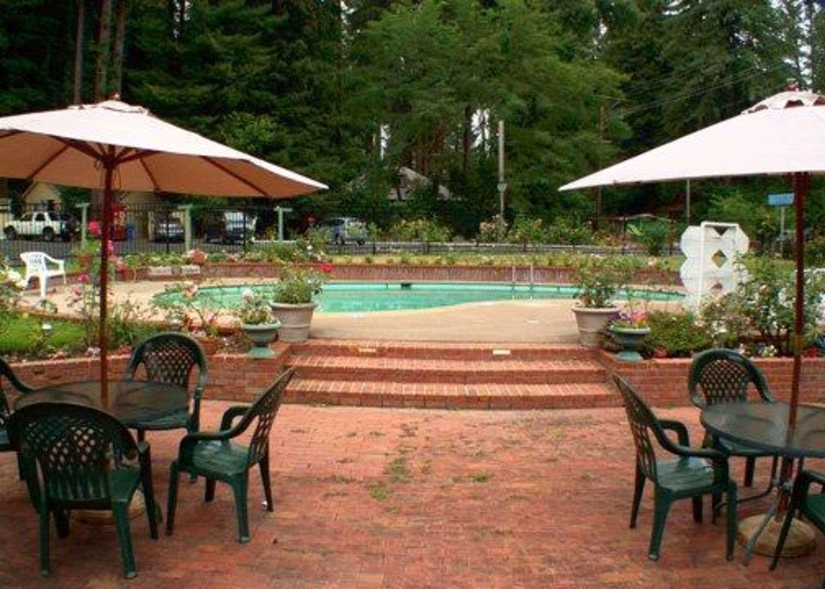 Quality Inn & Suites Santa Cruz Mountains - photo 25