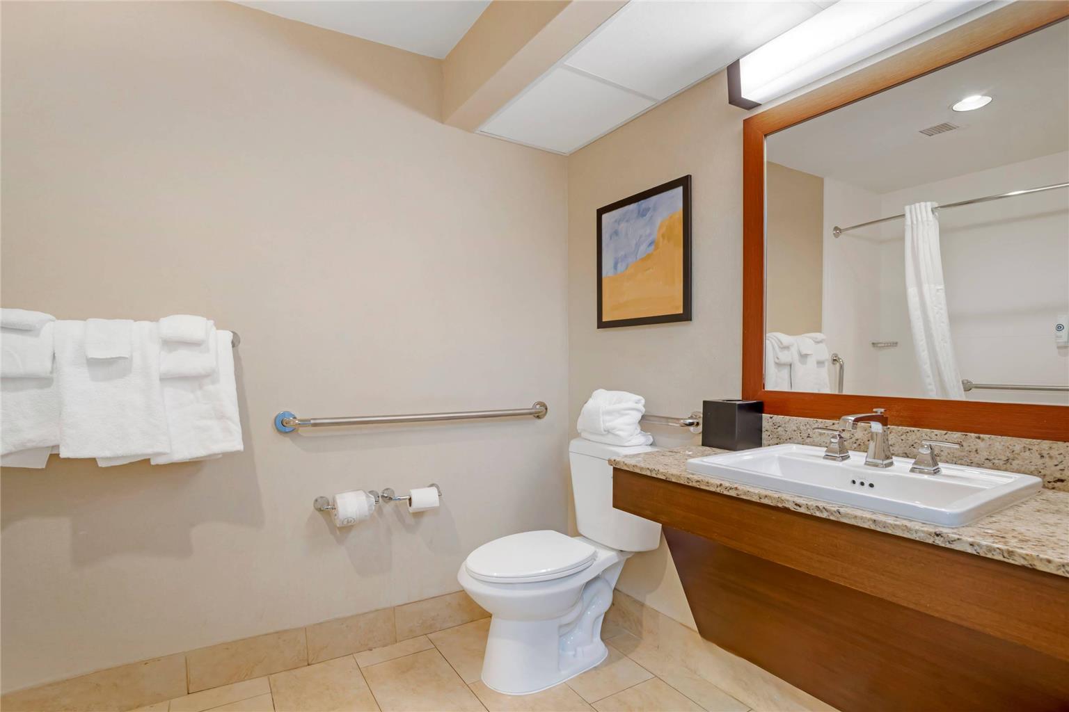 Comfort Suites Gastonia Charlotte - photo 8