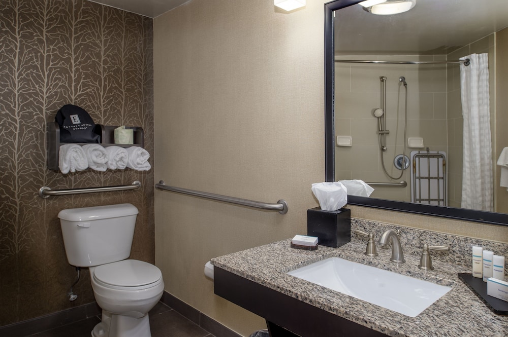 Embassy Suites by Hilton St. Louis Airport - photo 28