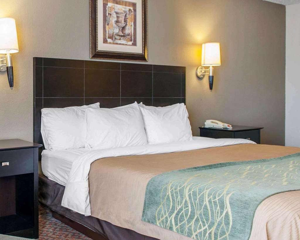 Comfort Inn Near Ouabache State Park - photo 20