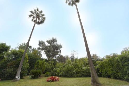 MathAco — Cannes — photo 3