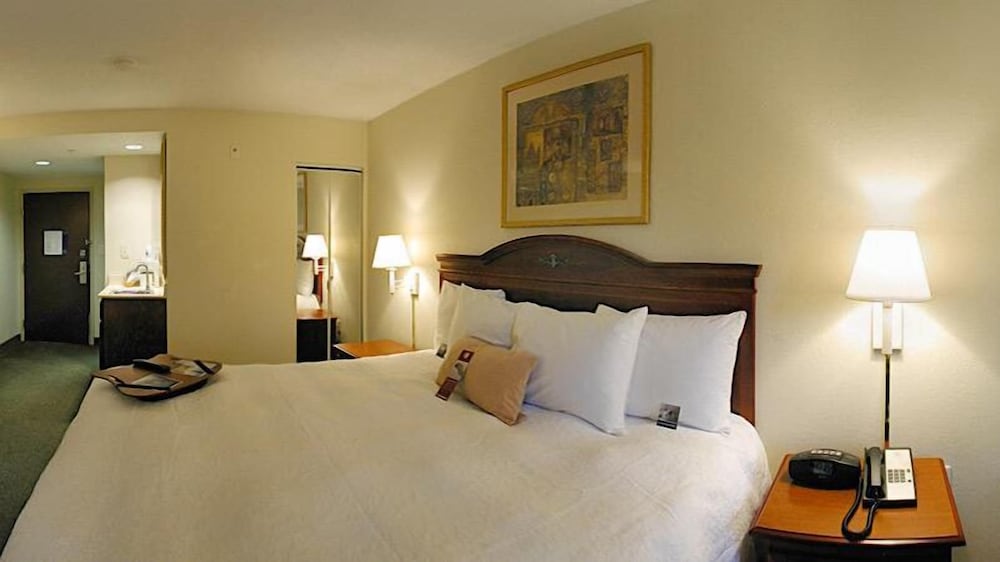 Hampton Inn Cumming - photo 8