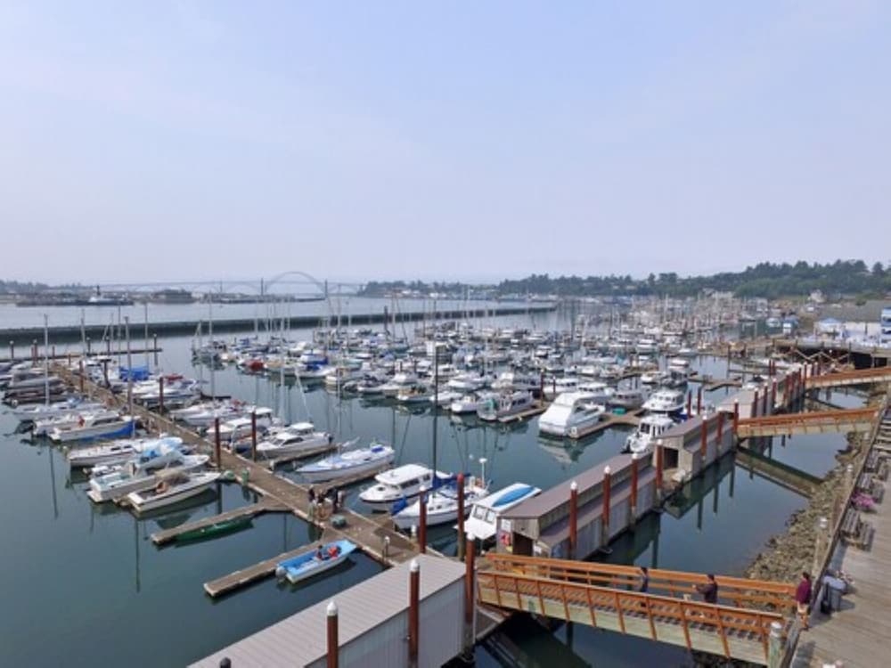 Embarcadero Resort Hotel & Marina - photo 95