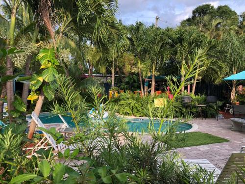 Calypso Inn Wilton Gay Male Resort - photo 17