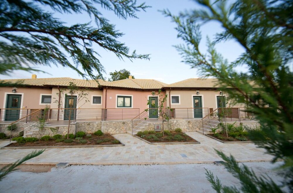 שטחי חוץ / גן