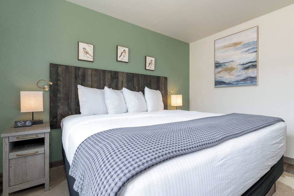 MTN Lodge Ridgway - photo 5