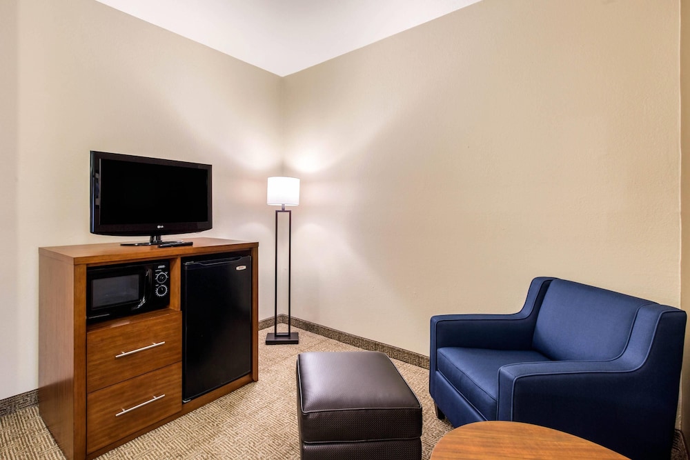 Comfort Inn & Suites IAH Bush Airport East - photo 5