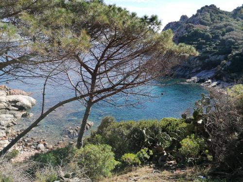 Domo Annalisa in Arbatax, Italy