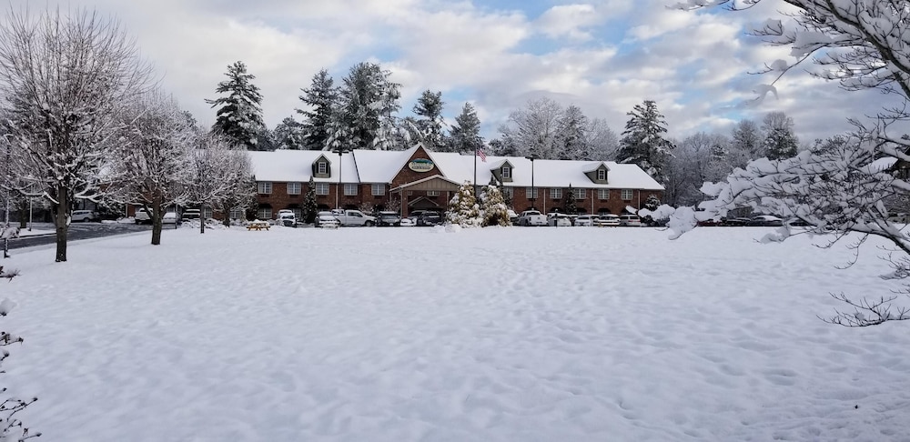 Mountain Inn & Suites - photo 24