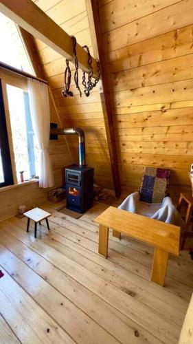 A frame mestia