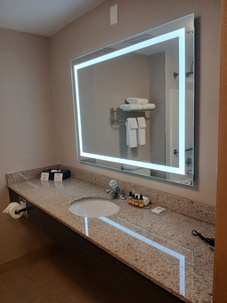 Best Western Plus Bradenton Hotel & Suites - photo 12