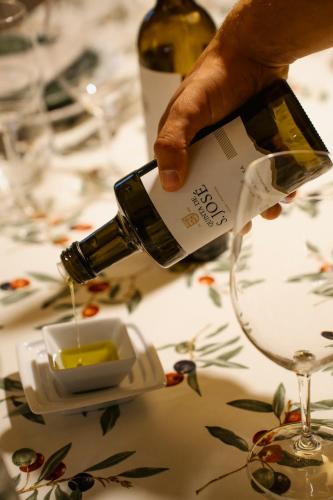 Quinta de S. Jose Turismo Rural — 4-Star Luxury Hotel in Ervedosa Do Douro, Portugal