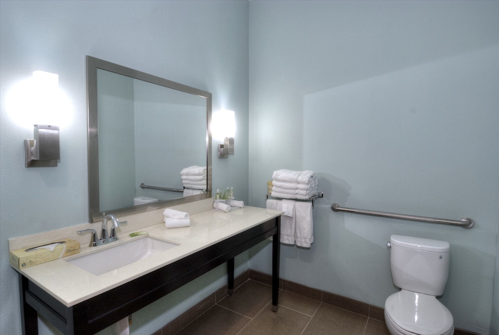 Holiday Inn Express & Suites Austin South by IHG - photo 24