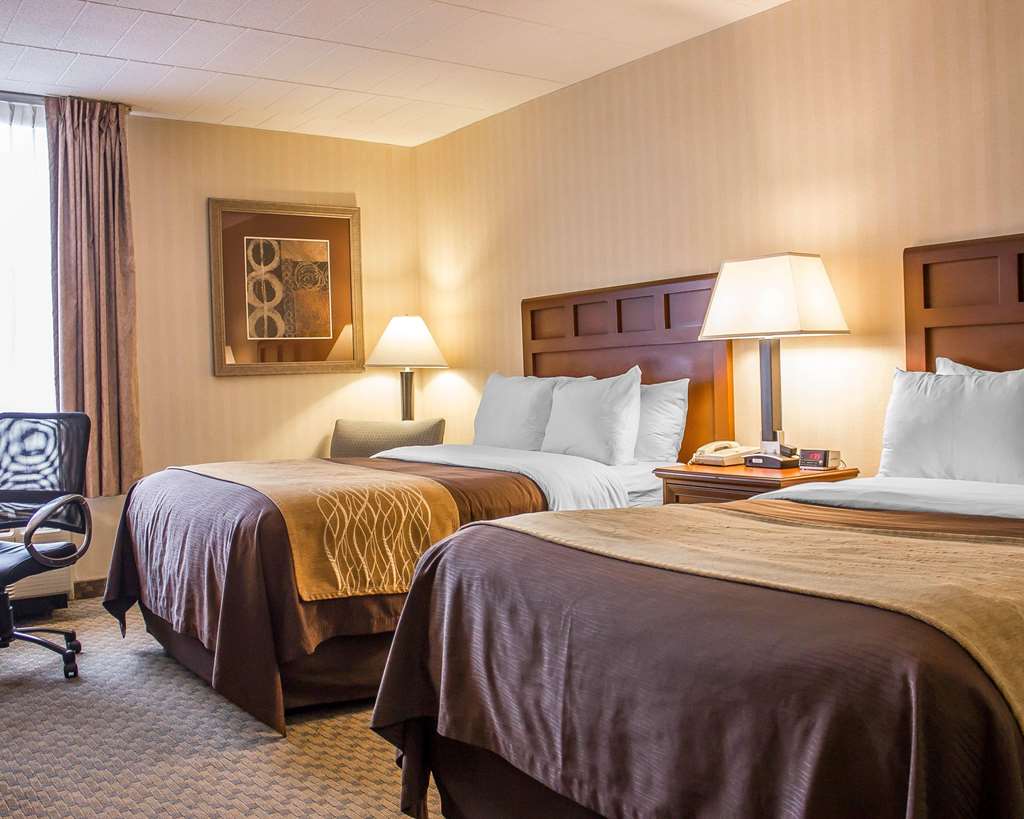 Comfort Inn Wethersfield Hartford - photo 9