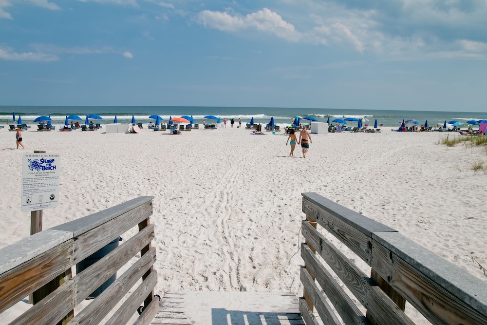 Hilton Garden Inn Orange Beach Beachfront - photo 109