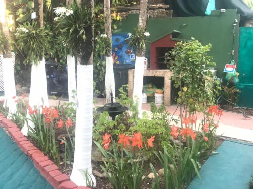 Posada San Andres Unlimited in San Andres, Colombia