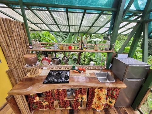 Finca’bout DIS in Paraiso, Costa Rica