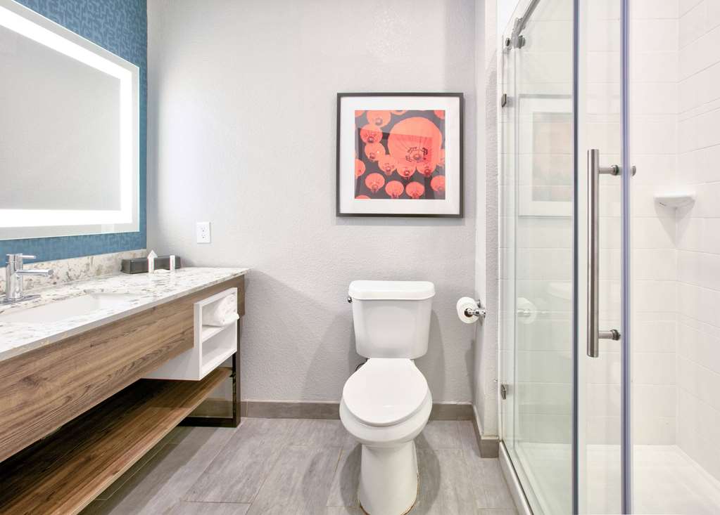 La Quinta Inn & Suites by Wyndham Dallas Fairpark - photo 52