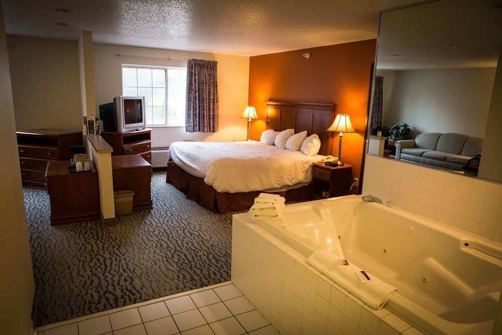 Regency Inn and Suites Anoka - photo 9