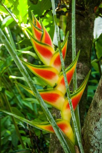 Cabinas Selvin y Blanca in Puerto Viejo De Talamanca, Costa Rica