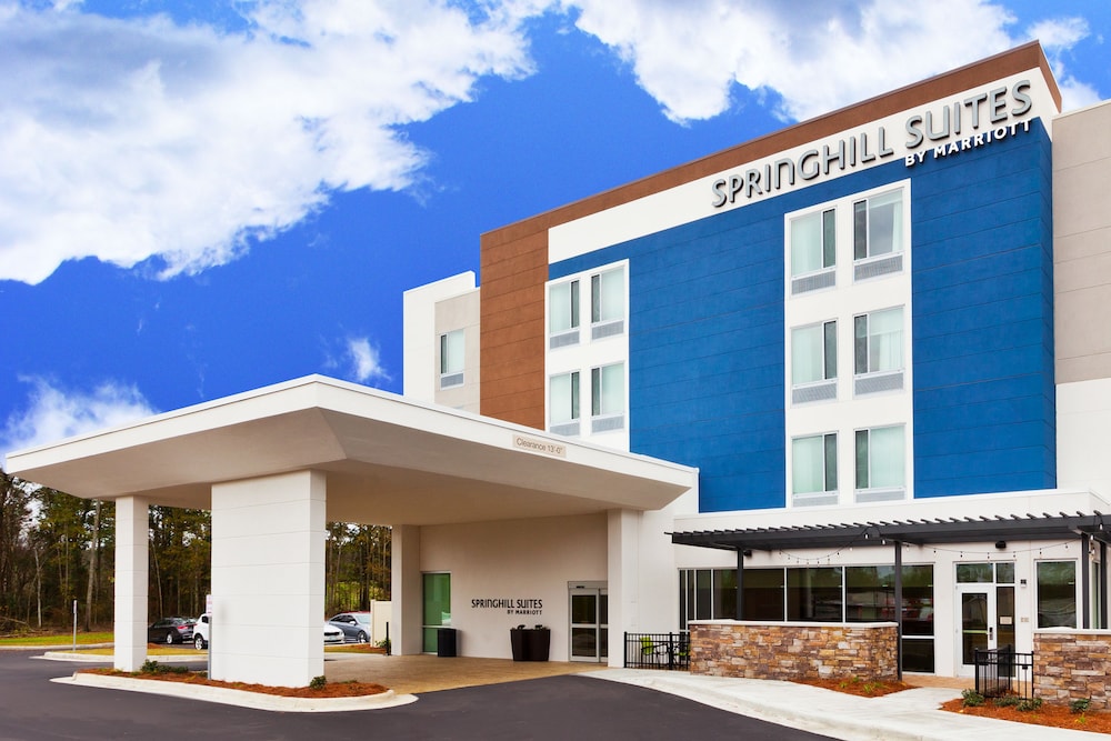 SpringHill Suites by Marriott Montgomery Prattville Millbrook - photo 30