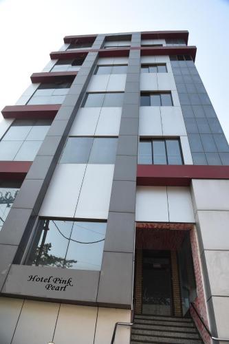 Hotel Pink Pearl — hotel in Raigarh