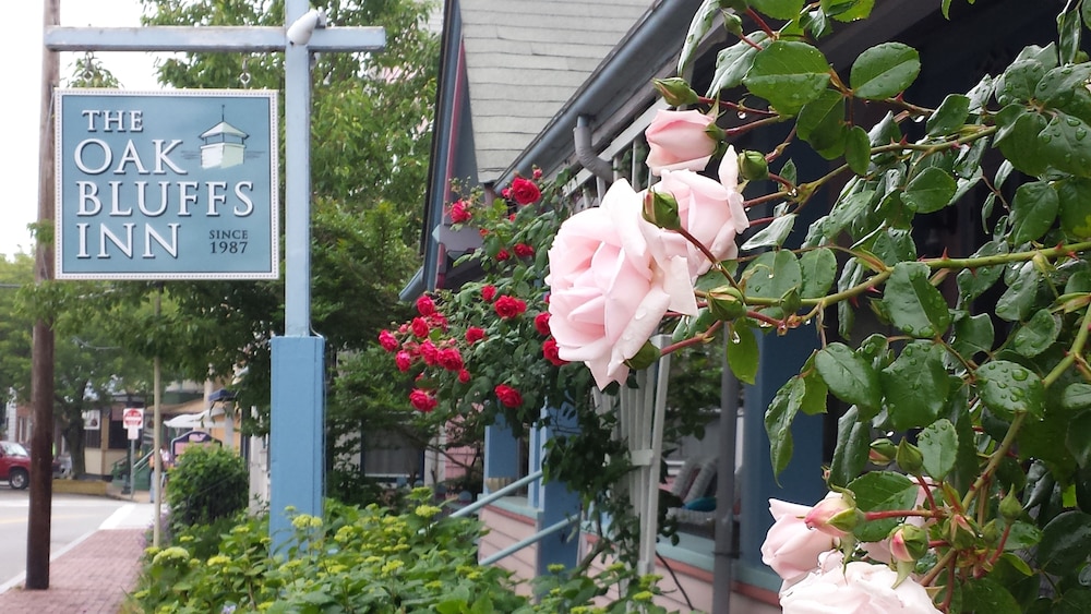 The Oak Bluffs Inn - photo 2