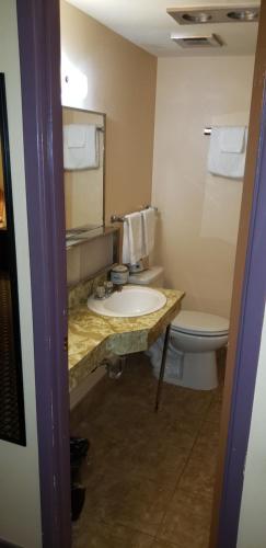 Westernaire Motel - photo 28
