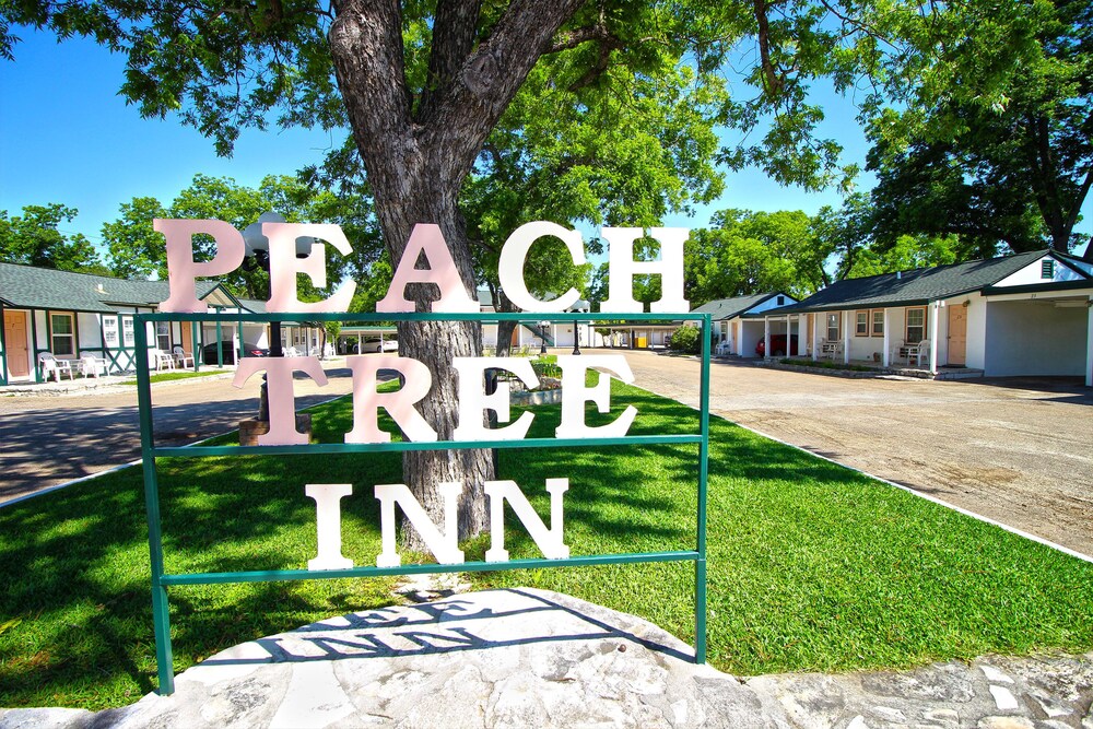 Peach Tree Inn & Suites - photo 66