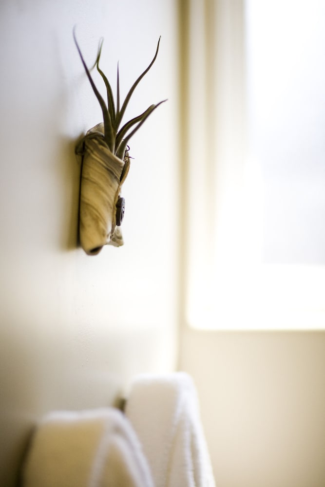 Cambria Shores Inn - photo 20