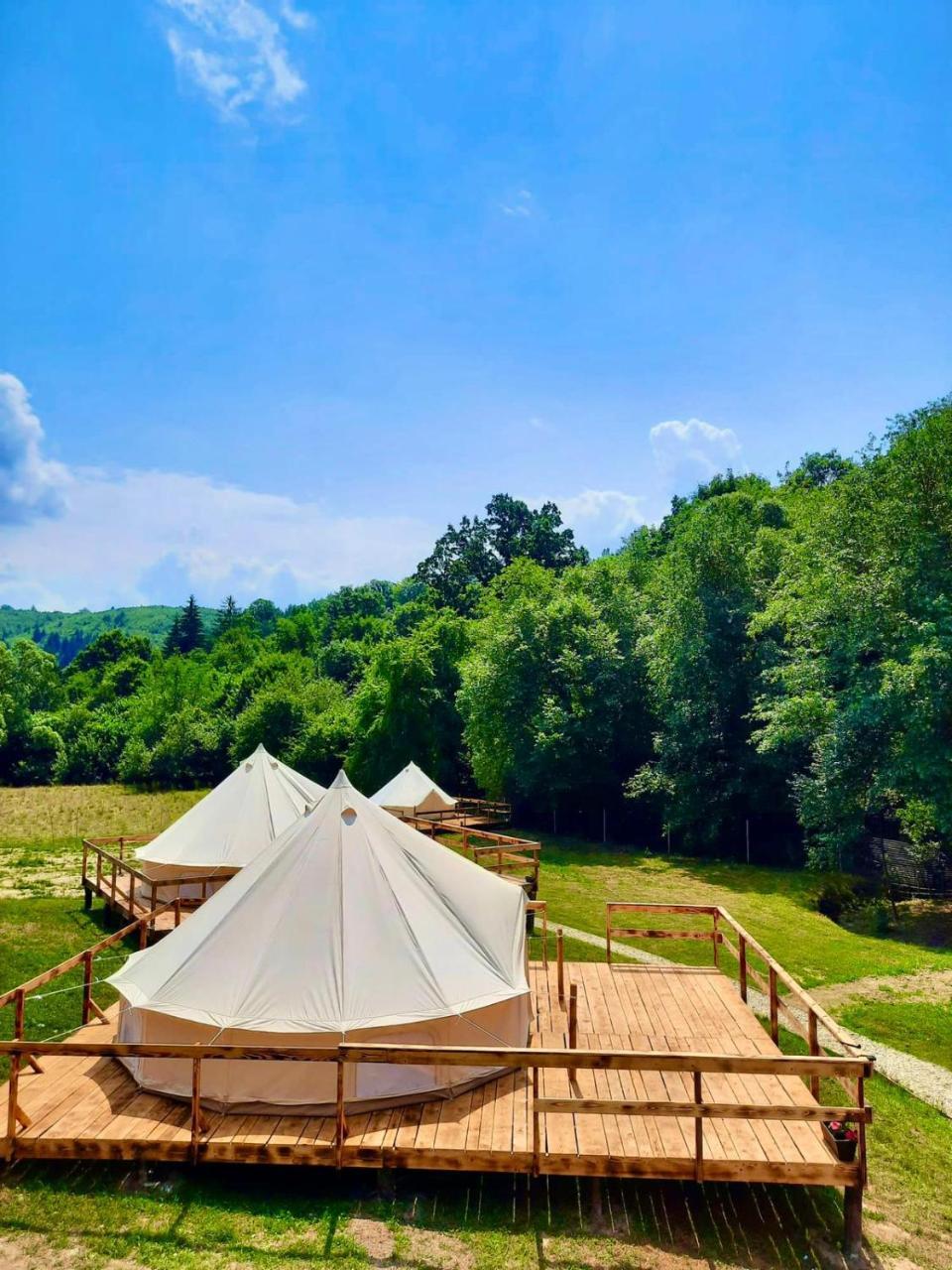 Forest Glamping - carbon neutral hotel in Brasov