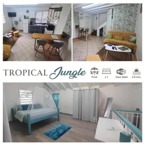 Duplex Tropical Jungle in Le Gosier, Guadeloupe