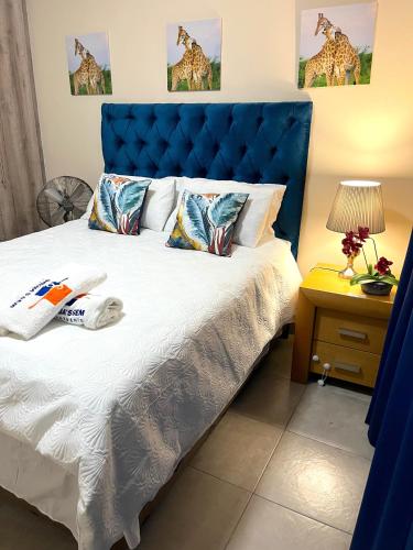 Sheba’s Gem Apartments — Lobamba — photo 4
