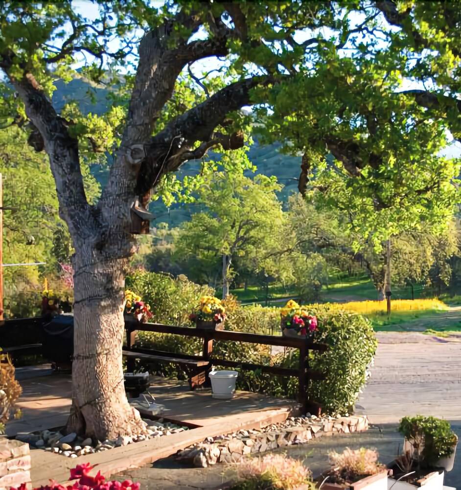 Sequoia Village - photo 57