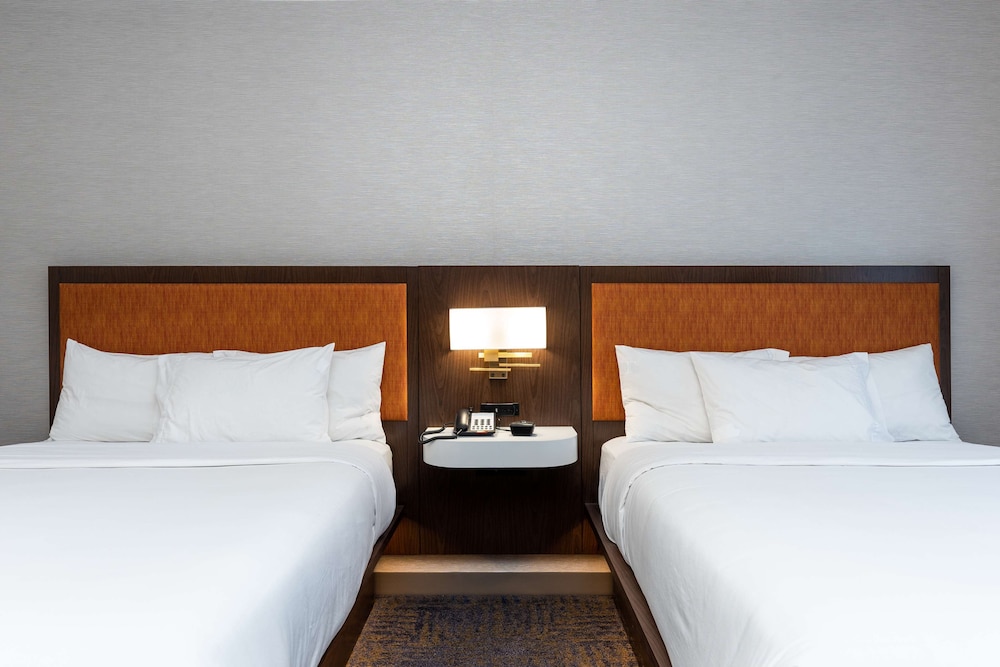 Hampton Inn & Suites Houston Sugar Land - photo 33