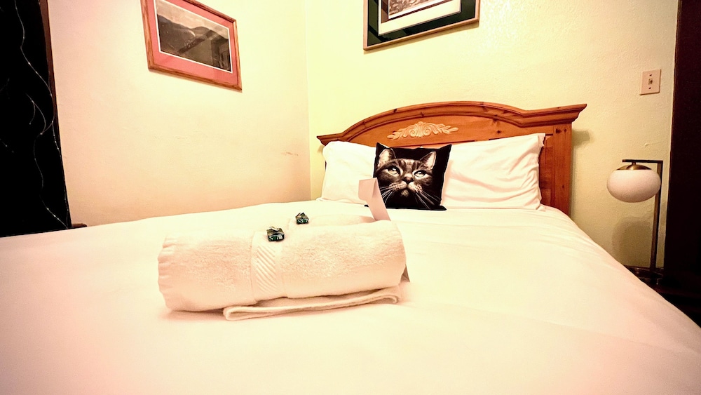 Hotel La More at The Bisbee Inn - photo 61