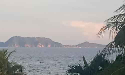 Apo Tropica Resort in Zamboanguita, Philippines