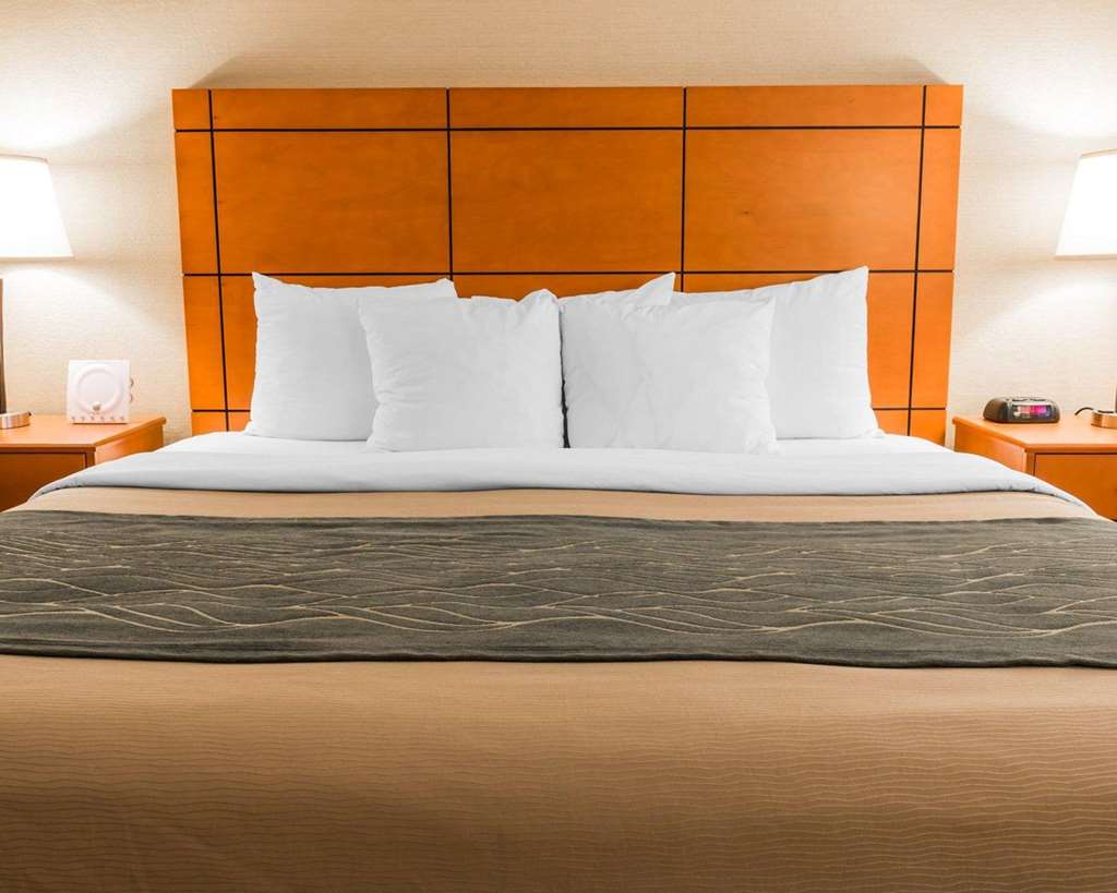 Comfort Inn Metro Airport - photo 14