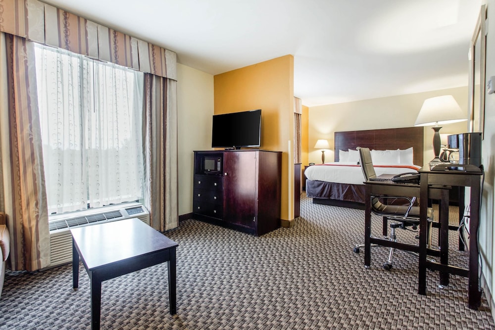 Comfort Suites Clinton near Presbyterian College - photo 8