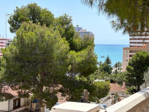 Beauty Garden in Cullera, Spain