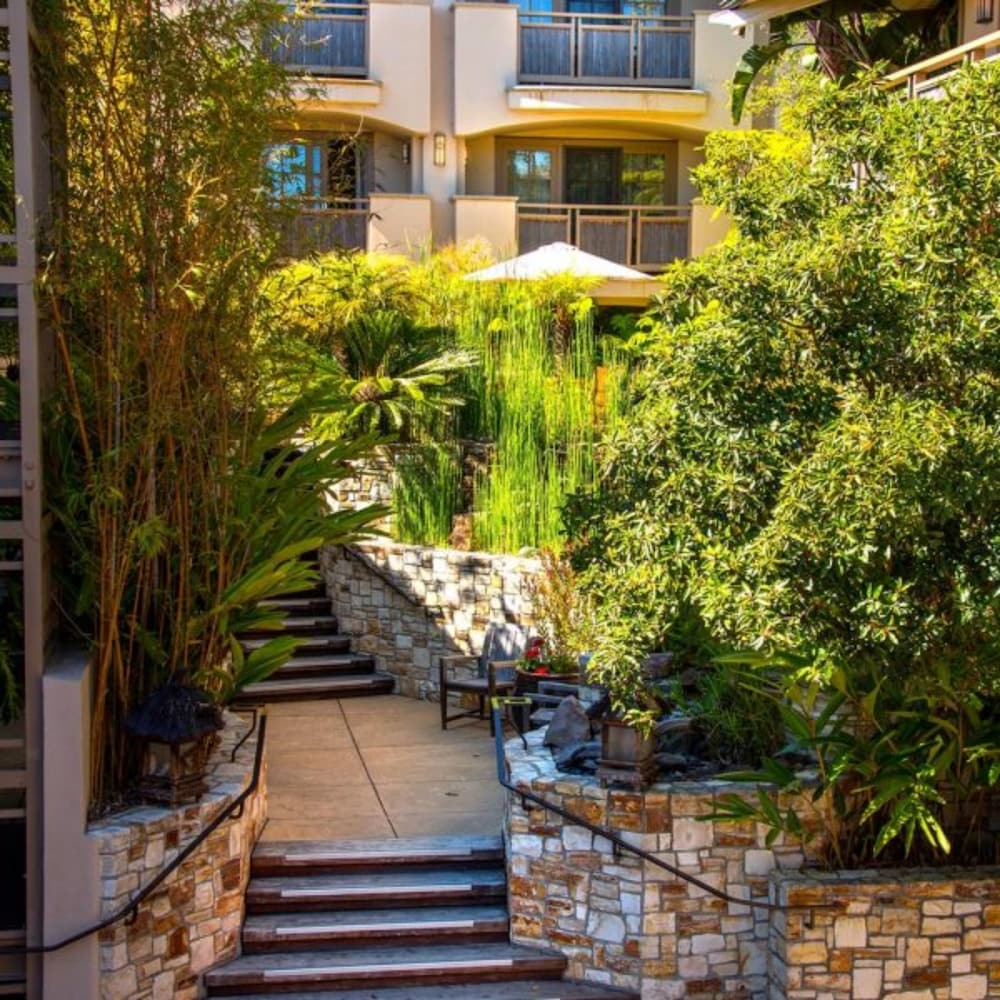 Tradewinds Carmel - photo 42