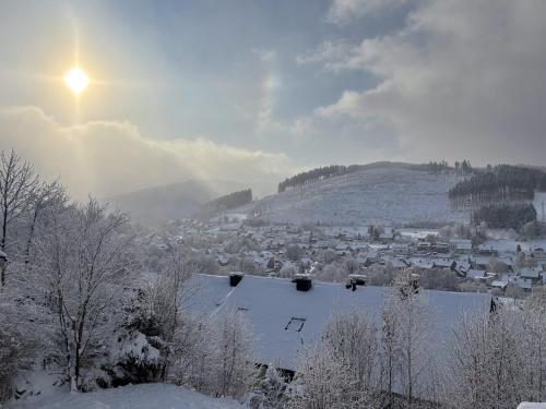 Hillebachsee in Winterberg, Germany