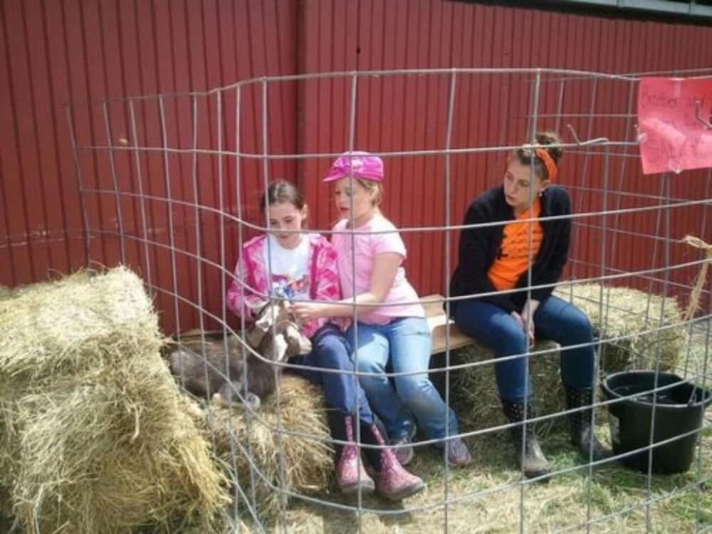 Flint Hill Farm AG - photo 52