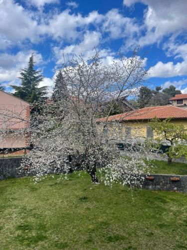 Etna sotto il ciliegio — 4-Star Luxury Hotel in Ragalna, Italy