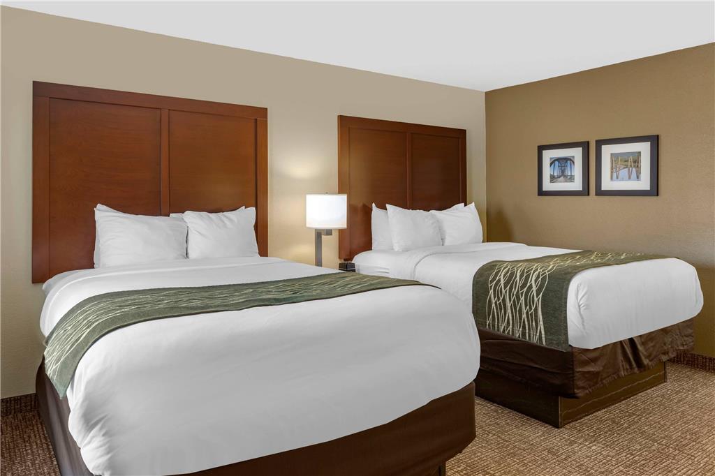Comfort Inn & Suites Little Rock Airport - photo 15