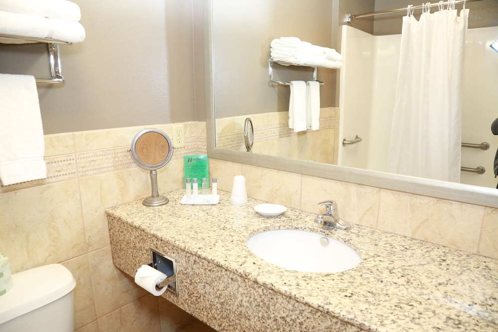 Horizon Inn and Suites - photo 7