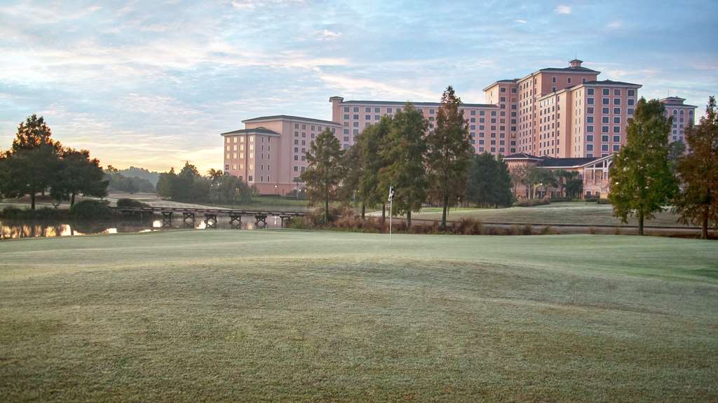 Rosen Shingle Creek - photo 90